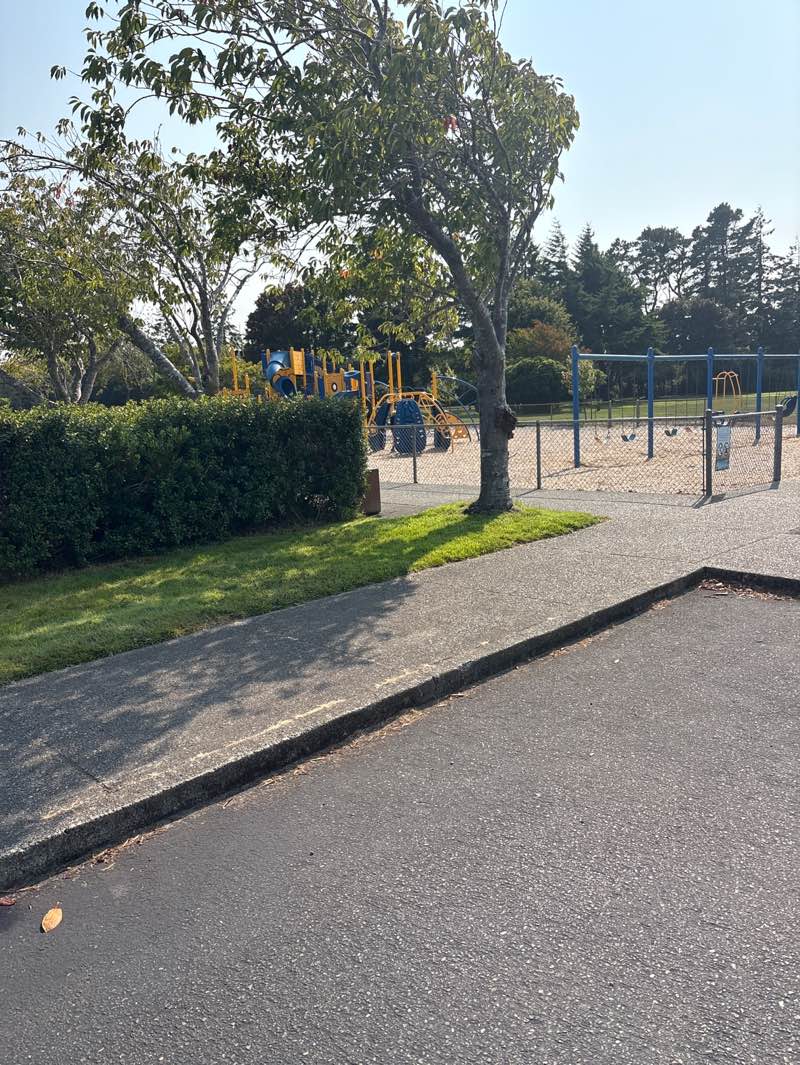 walking near me in Miller Park in summer