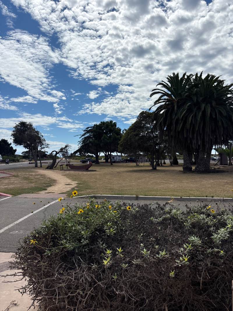 walking near me in Carpinteria State Beach in autumn