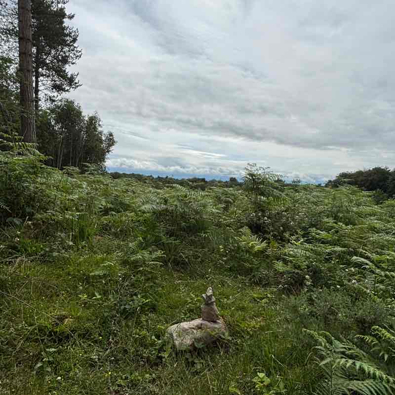 Dorset Walkers Orrin post image