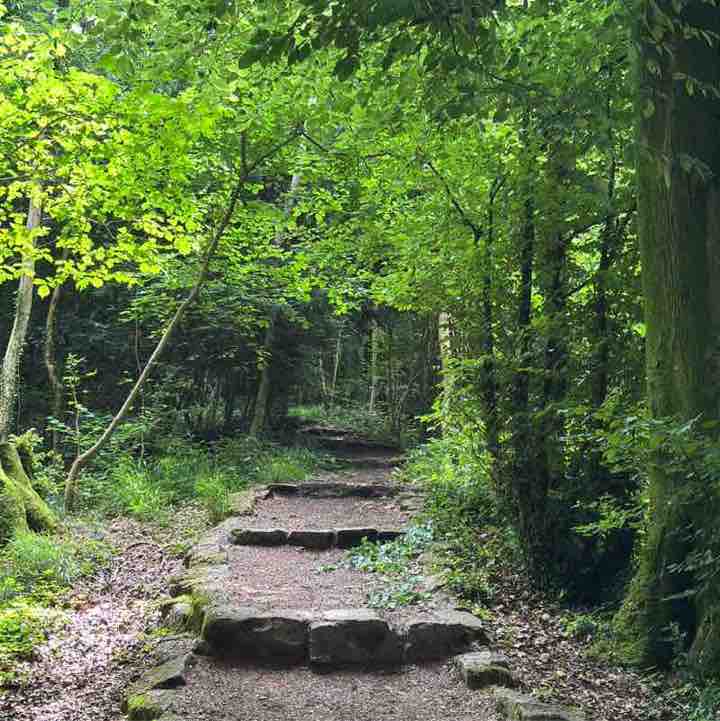 Dorset Walkers Orrin post image