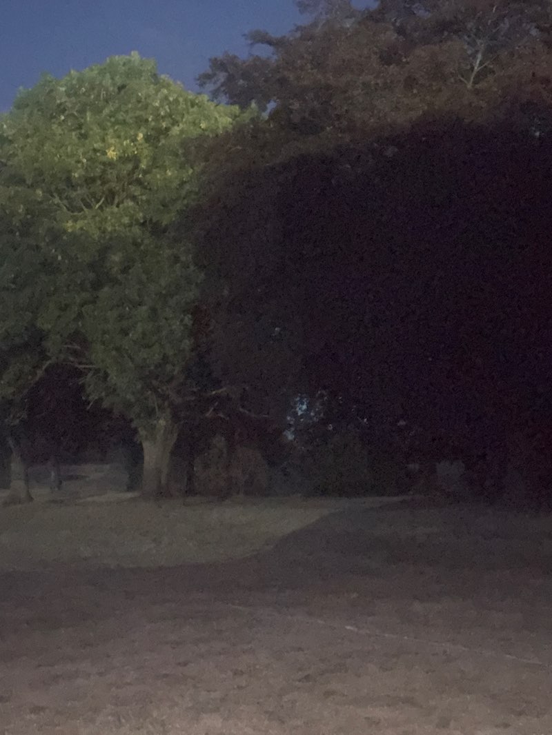 walking near me in Wingfoot Park in summer