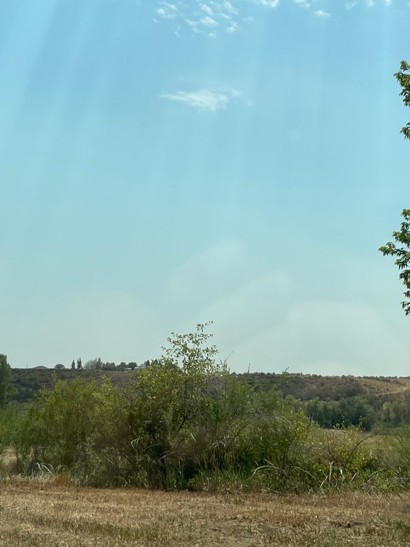walking near me in Loudy-Simpson Recreation Area in summer