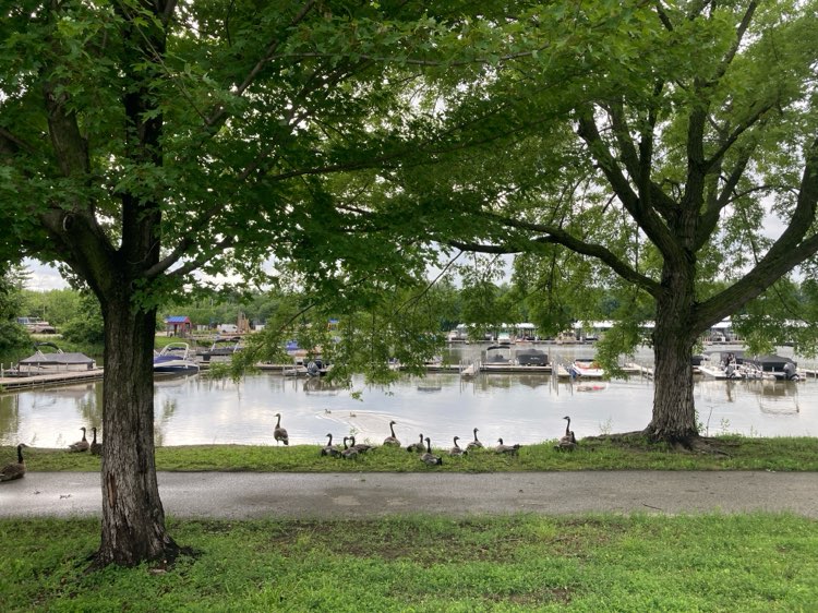 walking near me in Sunset Park in summer