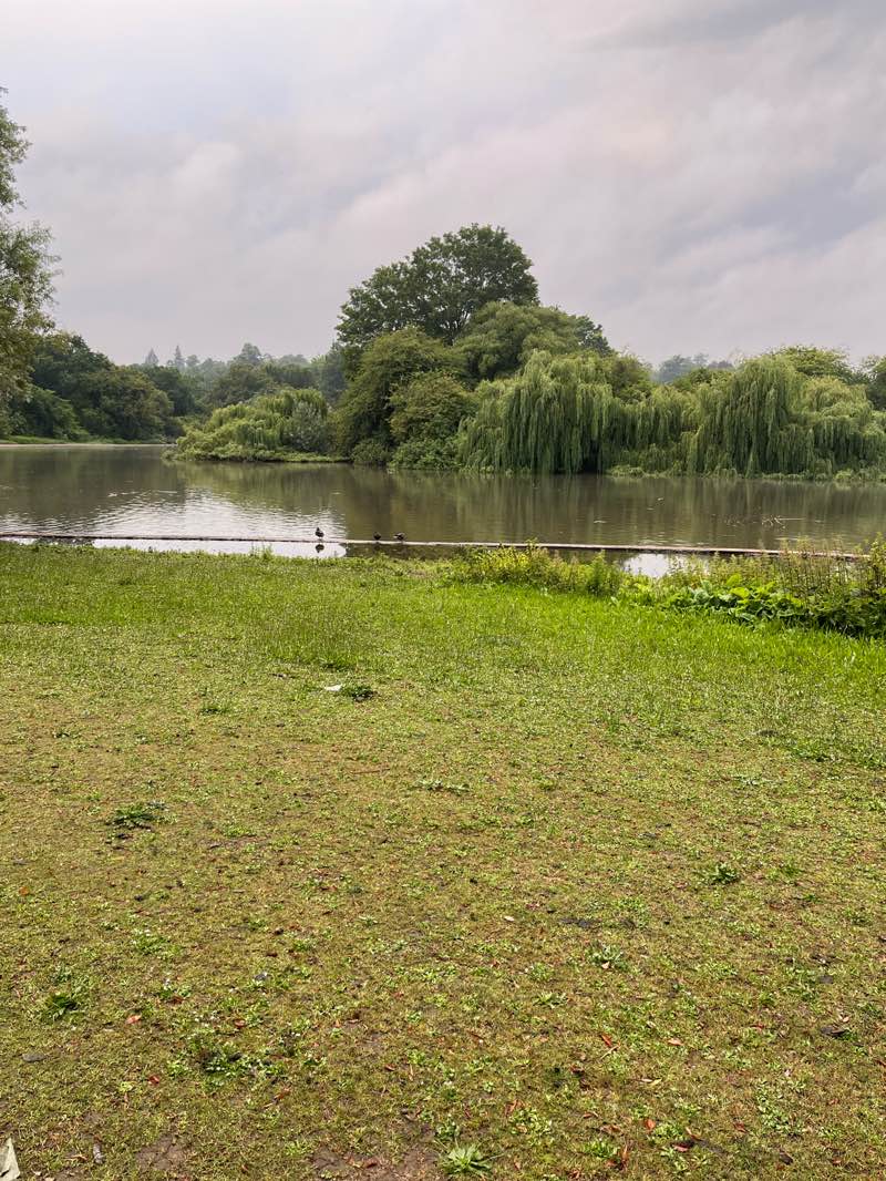 walking near me in Verulamium Park in summer