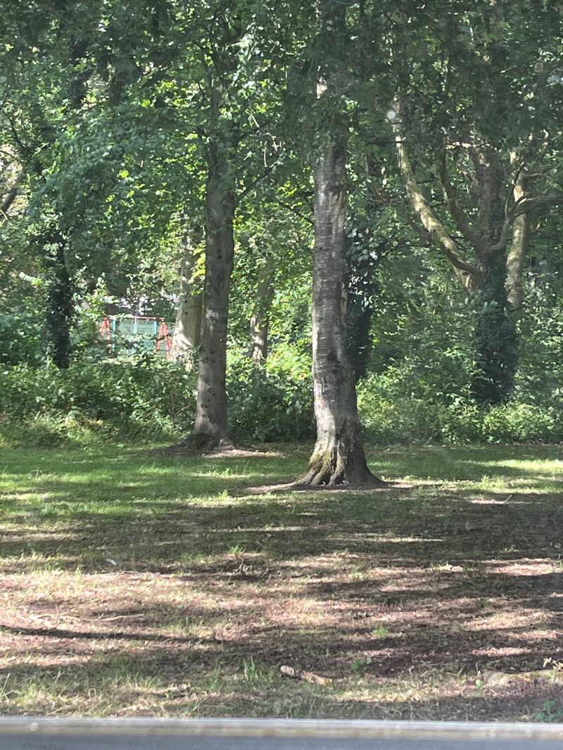 walking near me in Oakwood Park in summer