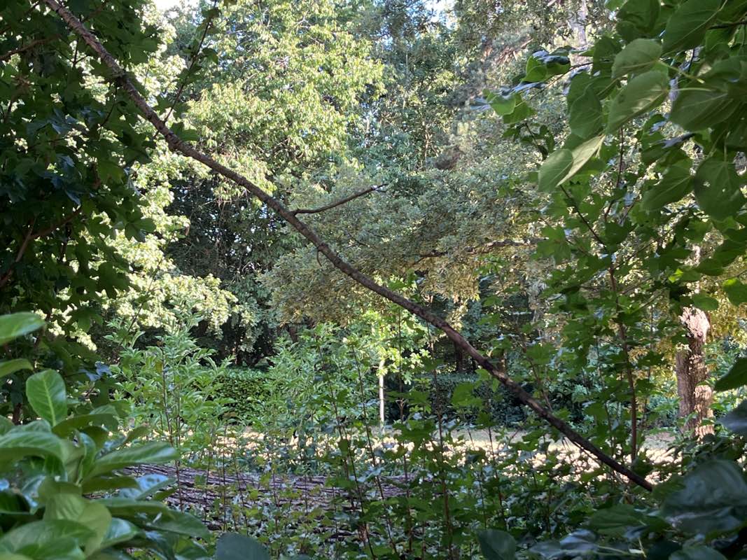 walking near me in Lydekker Park in summer