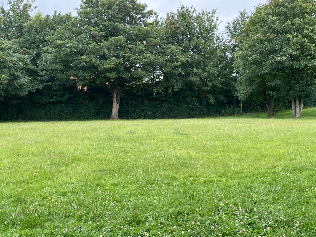 walking near me in Hope Park in summer