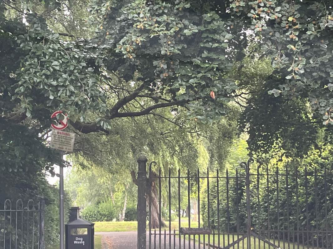 walking near me in Moorside Park in summer
