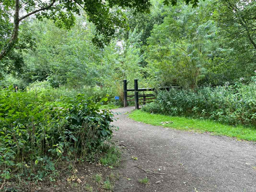 walking near me in Carr Brook Linear Park in summer