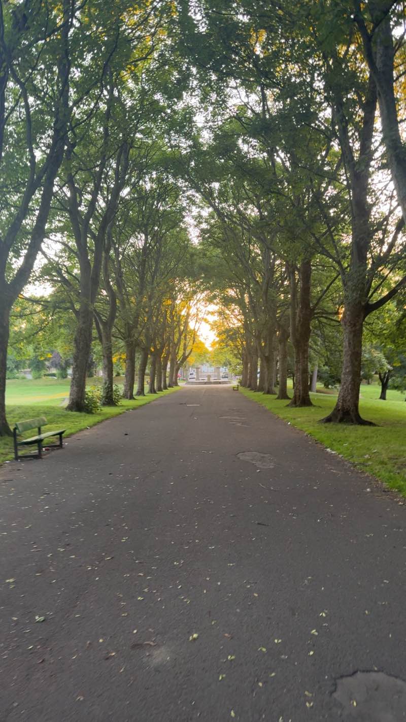 walking near me in Lund Park in summer