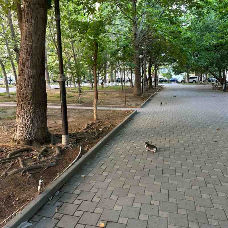 SOCAR-AQS Naila Zeynalova post image