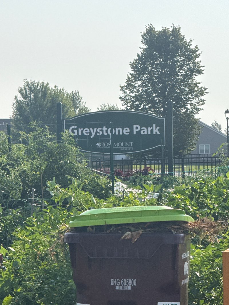 walking near me in Greystone Park in summer