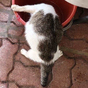 ~WaNHayati~ profile