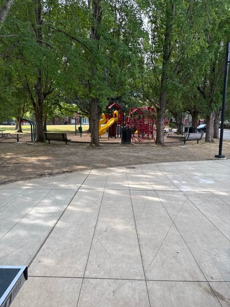 walking near me in Berntsen Park in summer