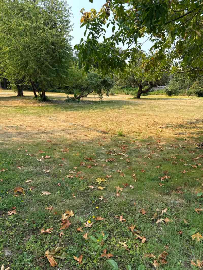 walking near me in Veterans Park in summer