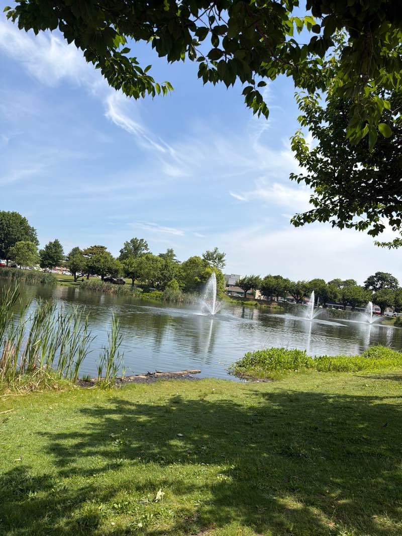 walking near me in Main Memorial Park in summer