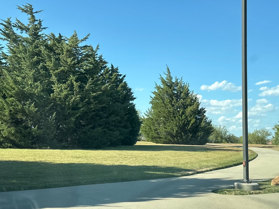 walking near me in East Hill Park in summer