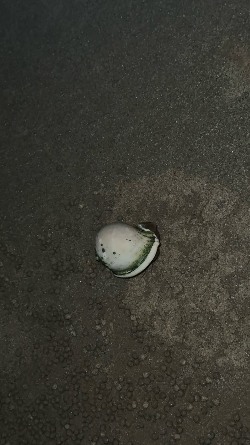 walking near me in Seria Energy Recreational Park in summer
