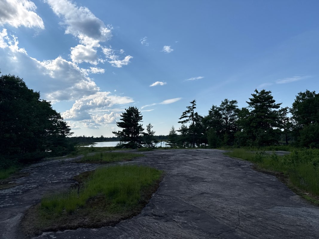 walking near me in Torrance Barrens Dark-Sky Preserve in summer