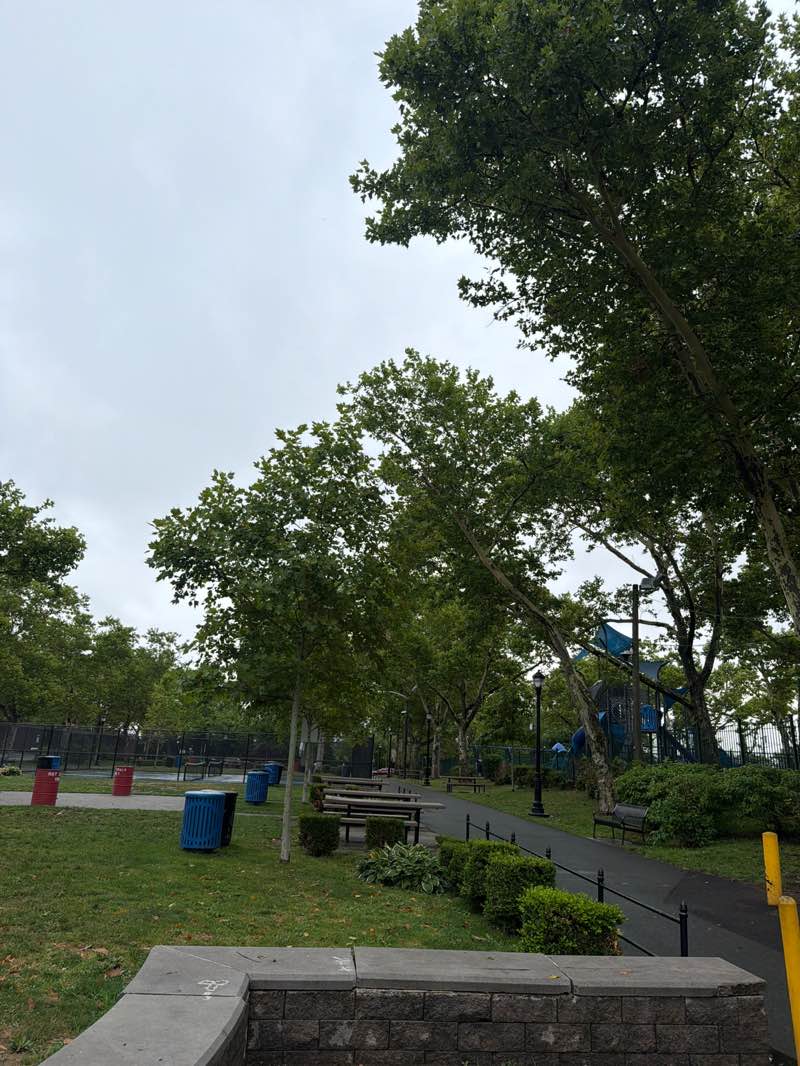 walking near me in Washington Park in summer