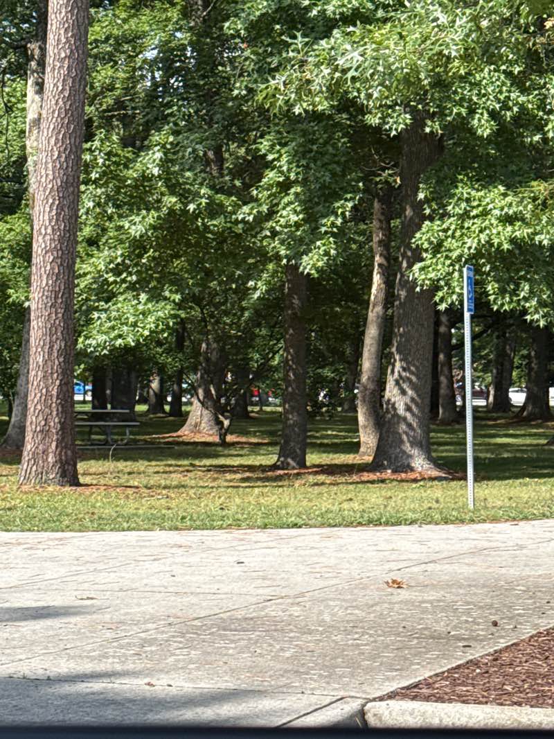 walking near me in Princess Anne Commons Gateway Park in summer