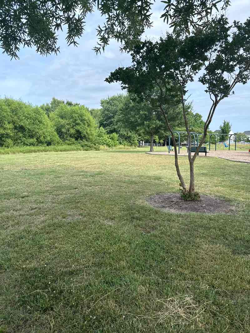 walking near me in Buckner Farms Park in summer