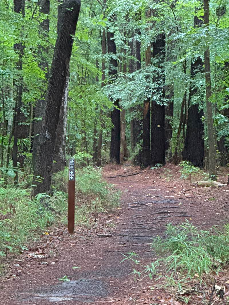 walking near me in West Neck Creek Nature Area in summer