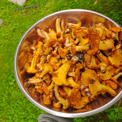ШАГАЕМ С ЮНИПРО Мария Курбатова post image