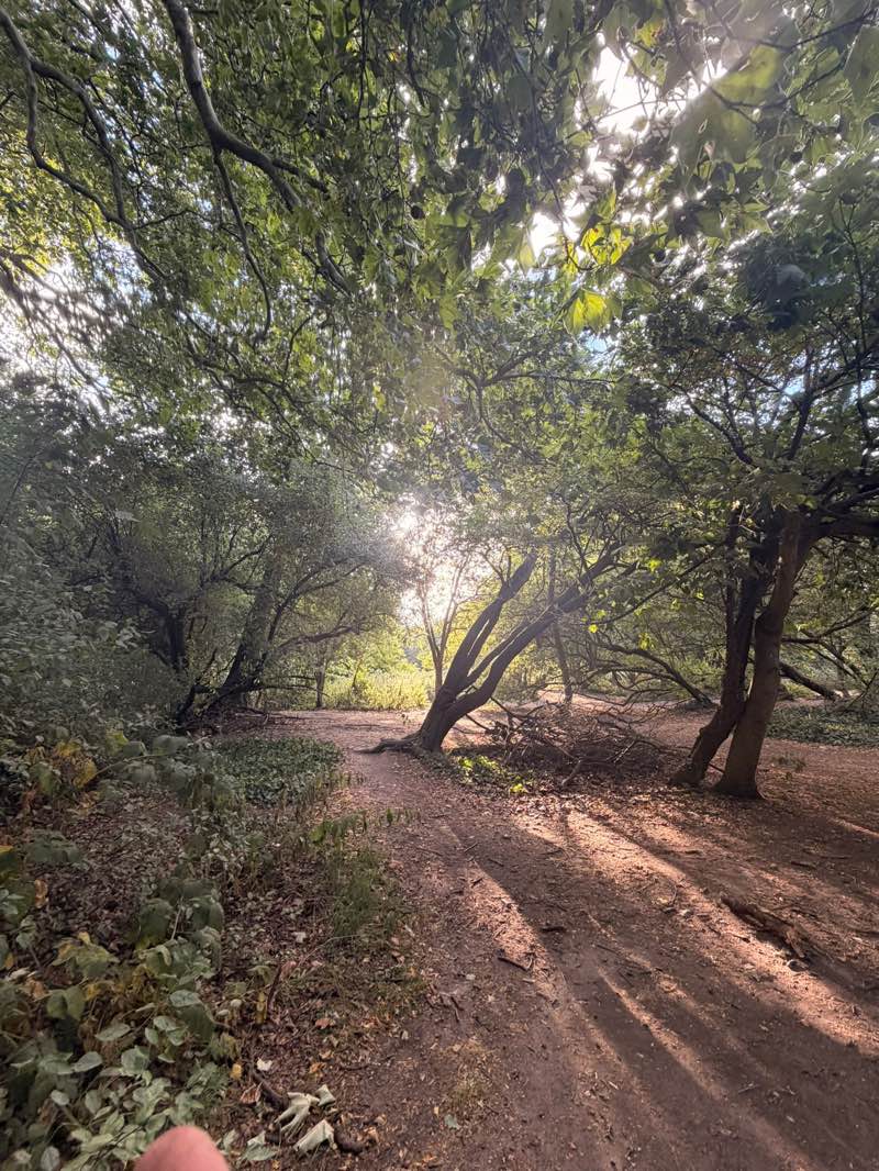 walking near me in Clapham Common in summer