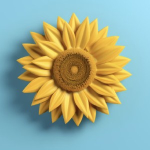 CarolDC icon