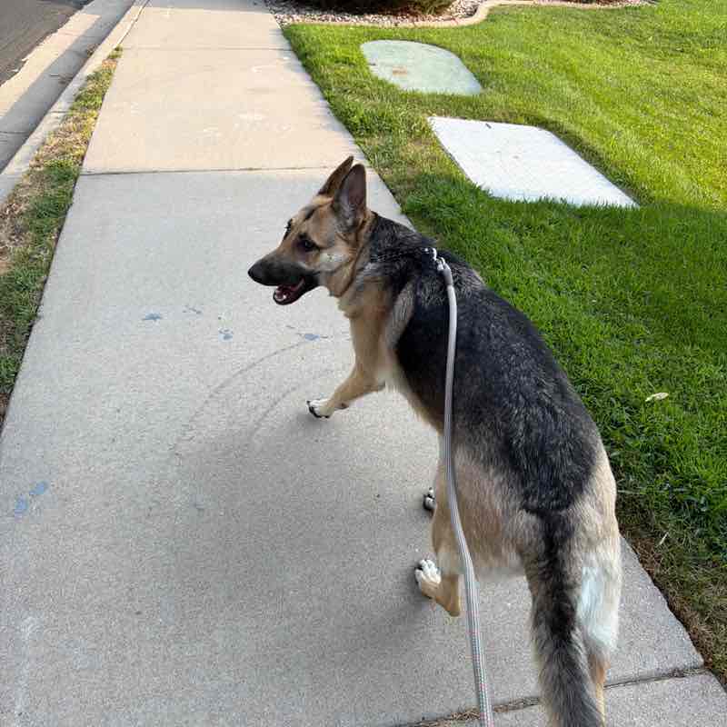 Jaxson post 1