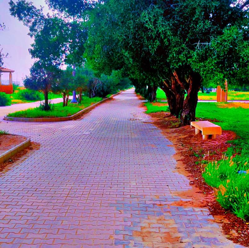 فهد الخالد profile