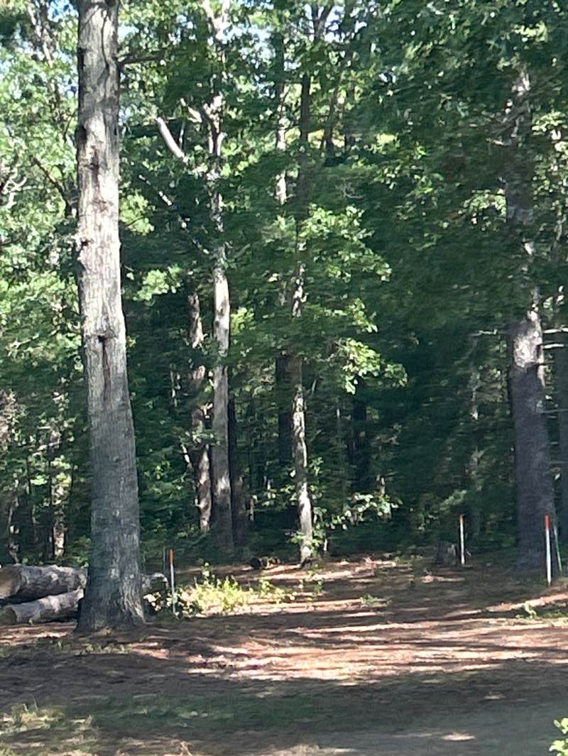 walking near me in Washburn Park in autumn