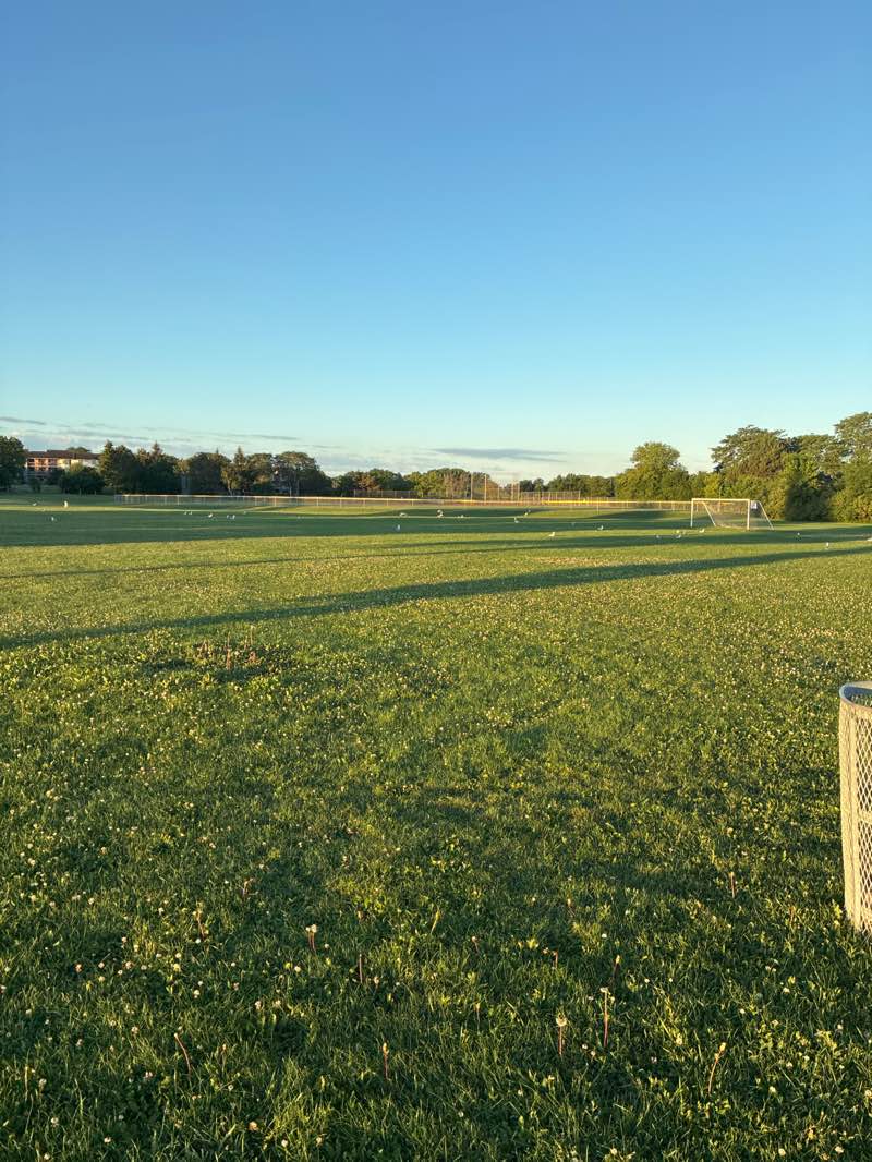 walking near me in Madison Park in summer