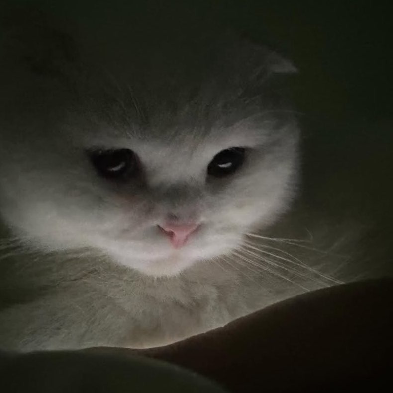 participant 1