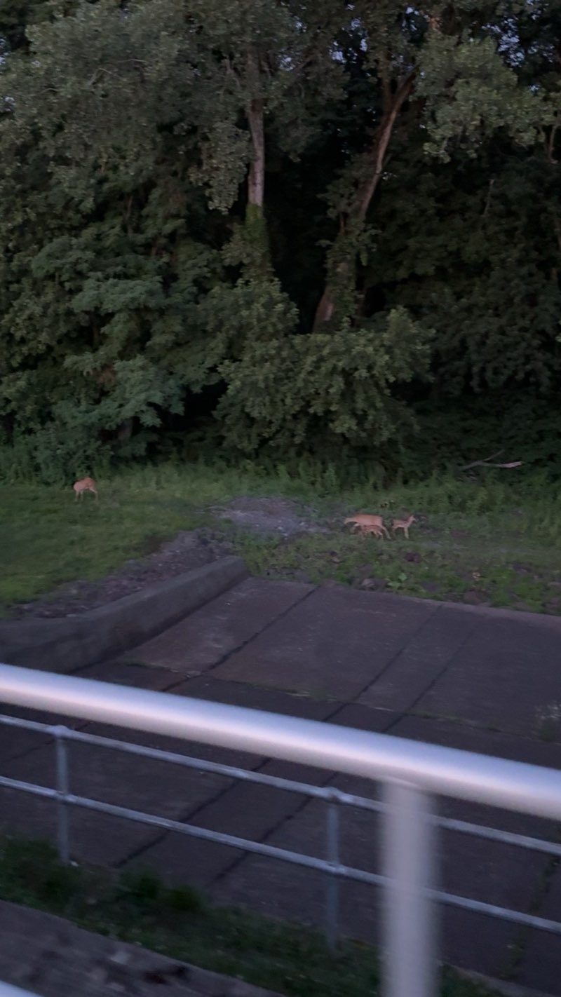 walking near me in Church Street Park in summer