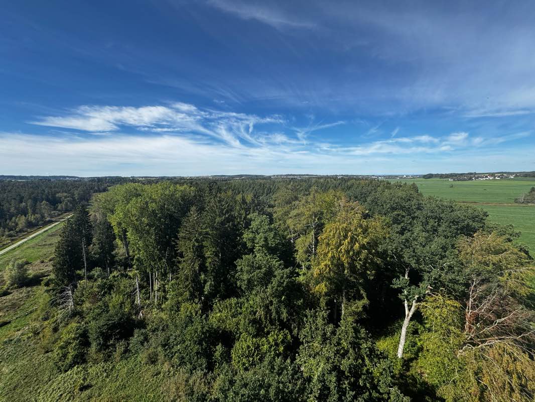 walking near me in Schloss Altshausen in autumn