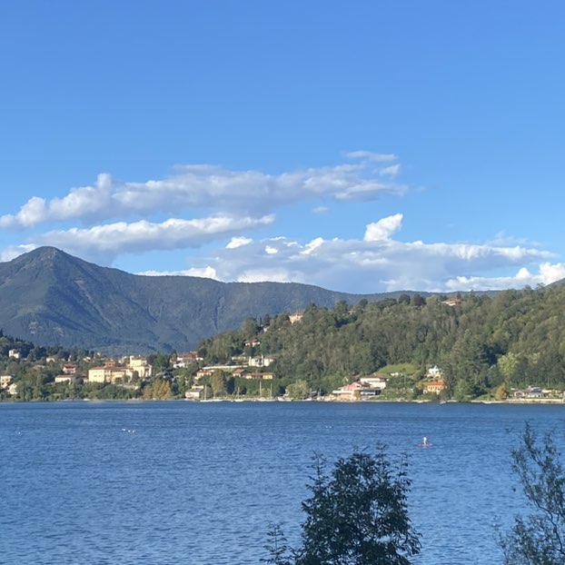 Rosa blu ♑️🌹🌻 post 3