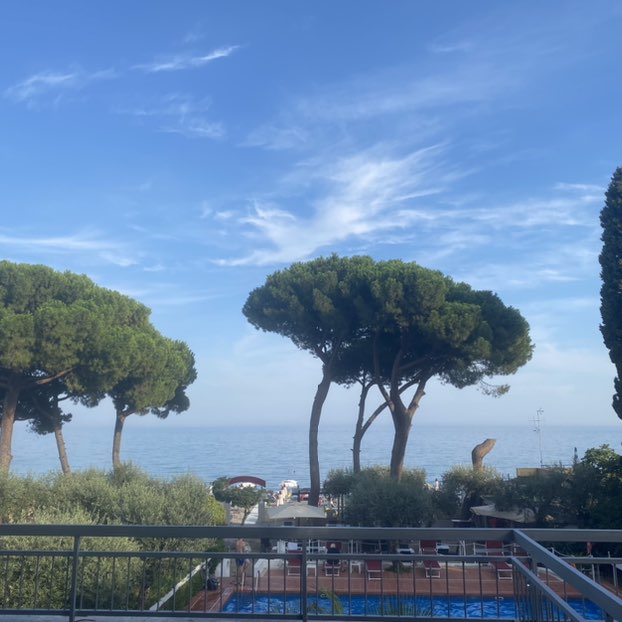 Rosa blu ♑️🌹🌻 post 3