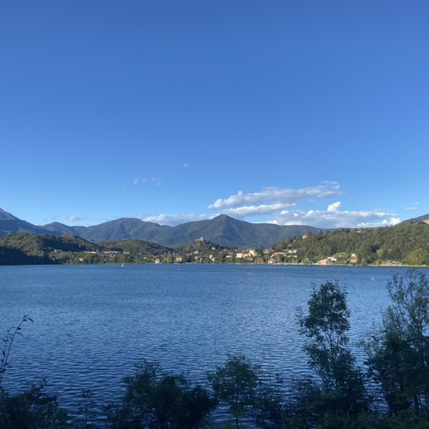 Rosa blu ♑️🌹🌻 post 2