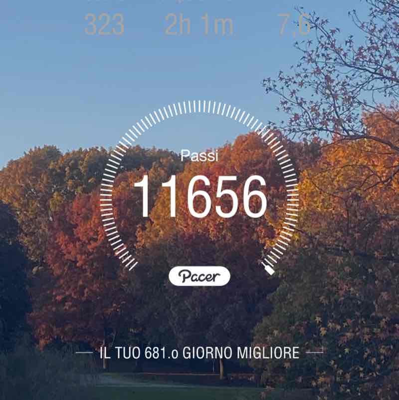 Rosa blu ♑️🌹🌻 post 1