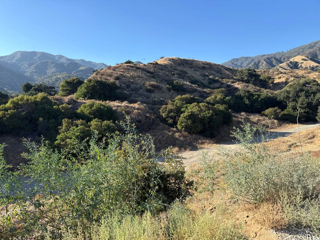 walking near me in Wilson Canyon Park in summer
