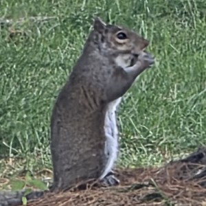 tkachscott profile