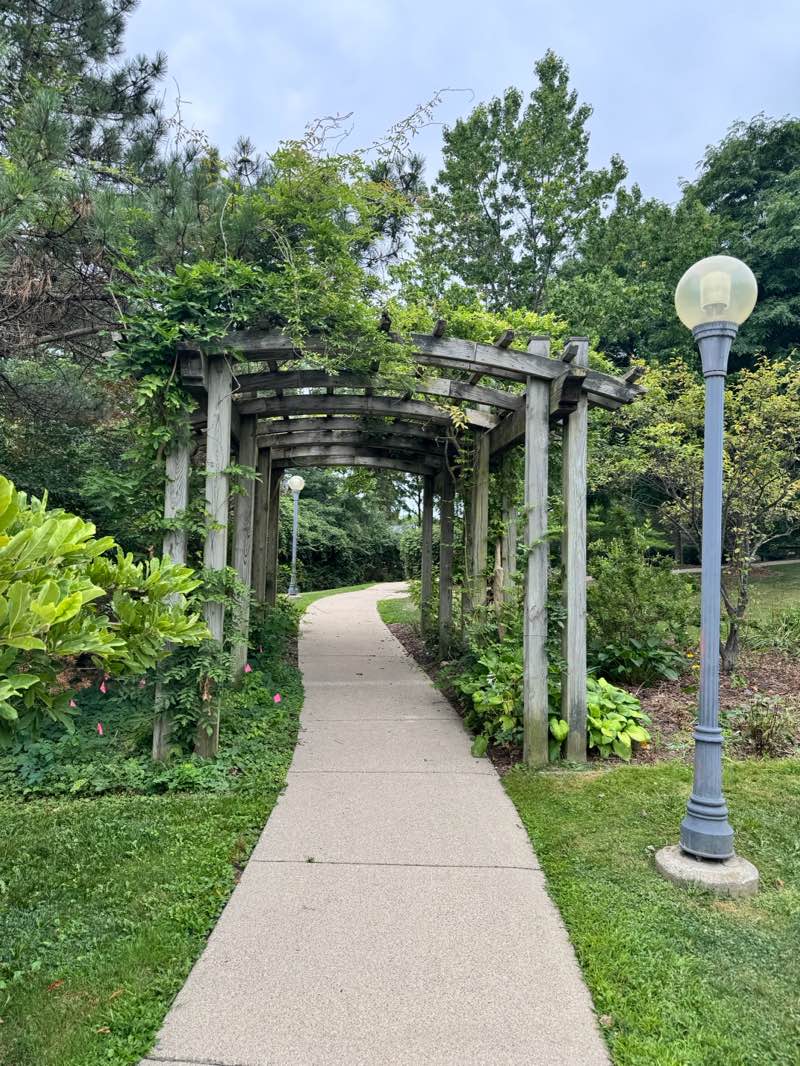walking near me in Sheffler Park in summer