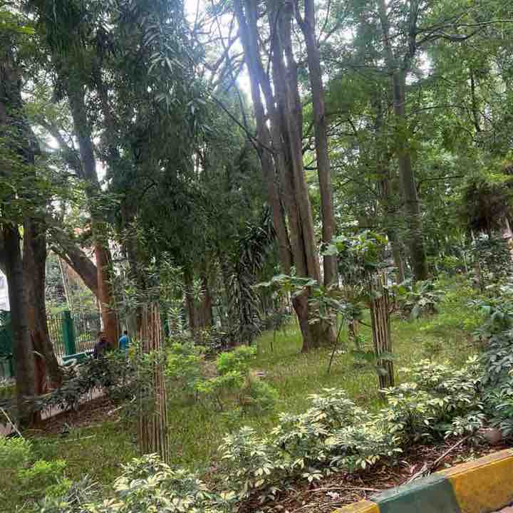 lakshsh.lg post 1