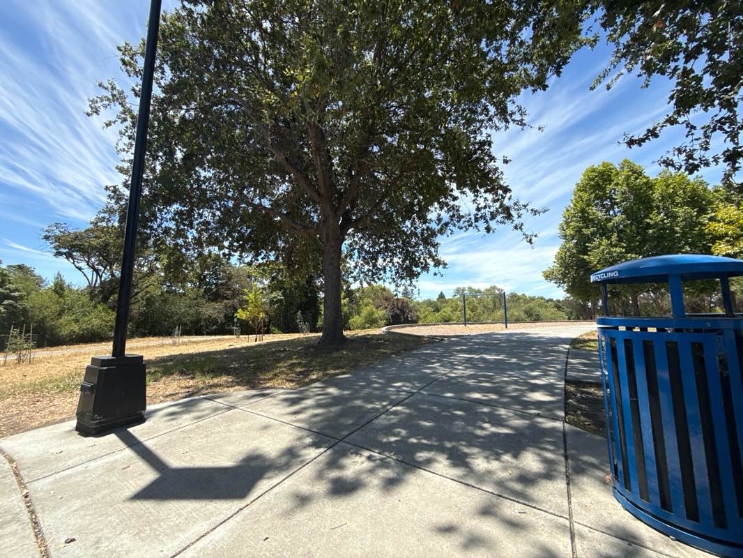 walking near me in Lucchesi Park in summer