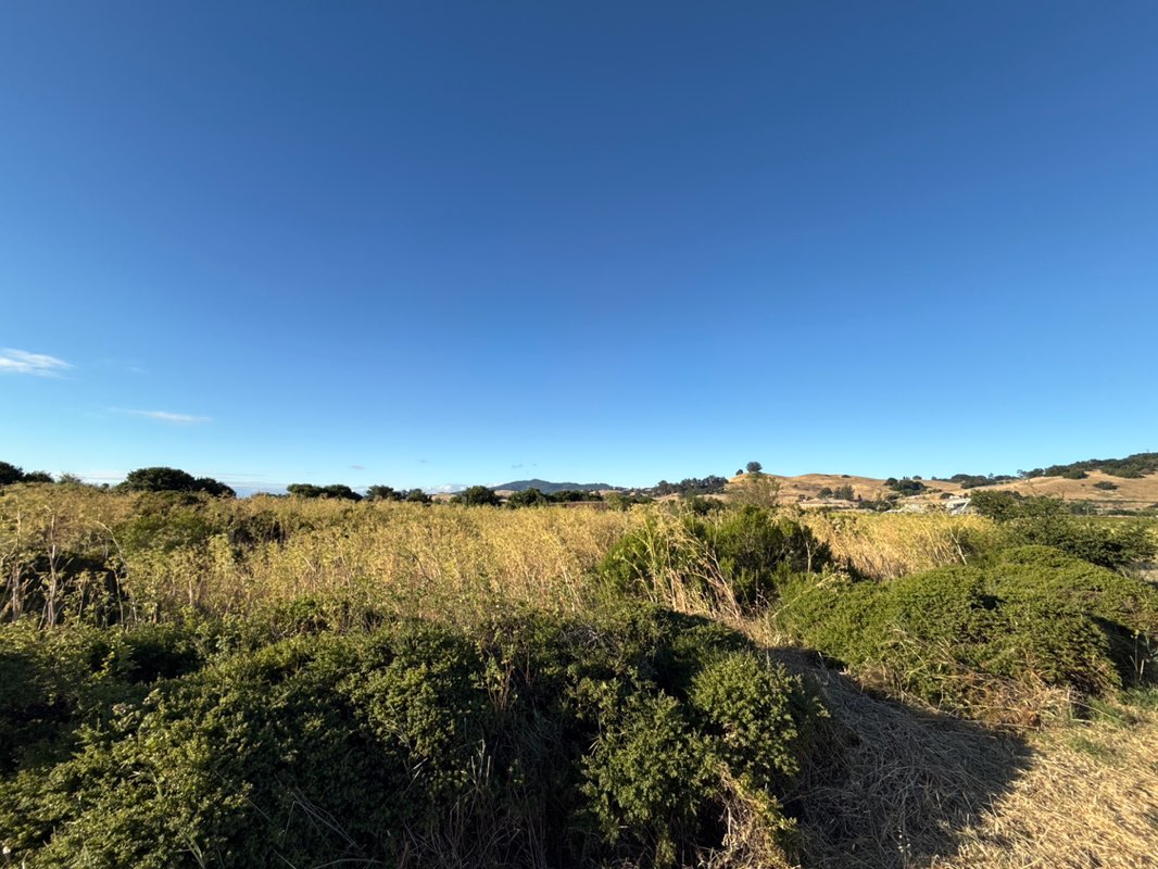 walking near me in Shollenberger Park in summer