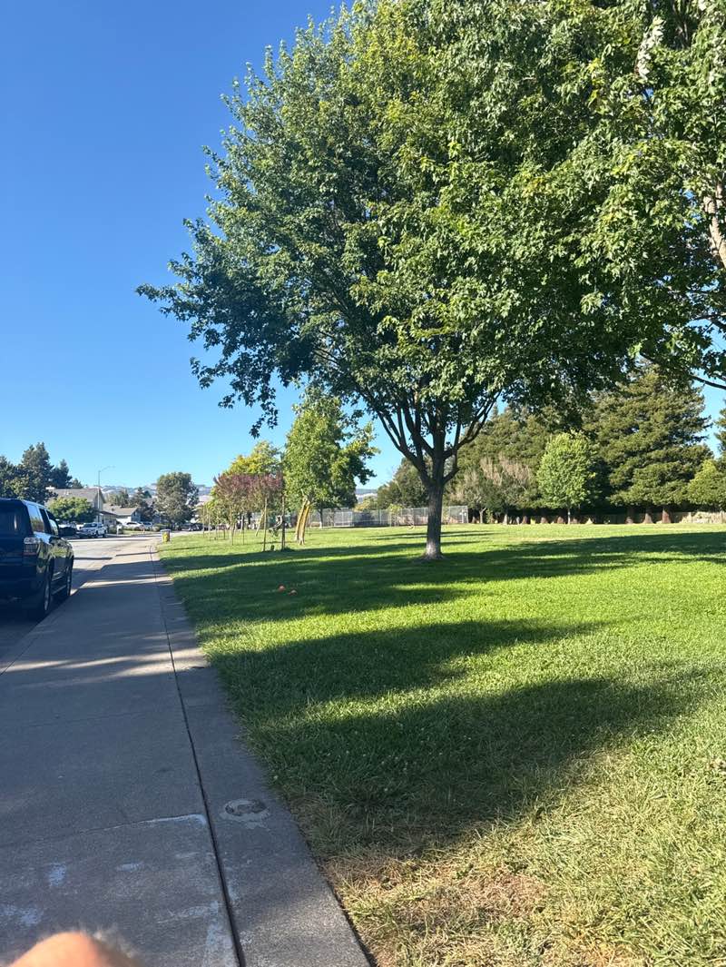 walking near me in Del Oro Park in summer