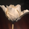 Carmina