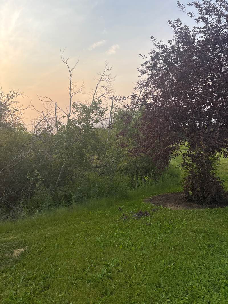 walking near me in Crystal Lake Park in summer